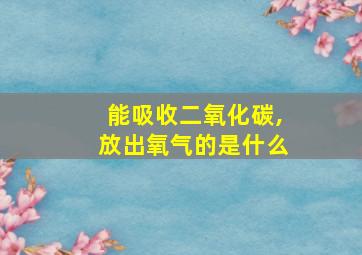 能吸收二氧化碳,放出氧气的是什么