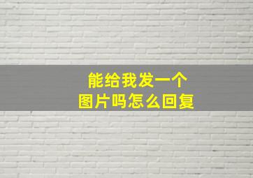 能给我发一个图片吗怎么回复