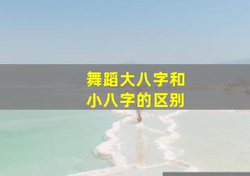 舞蹈大八字和小八字的区别