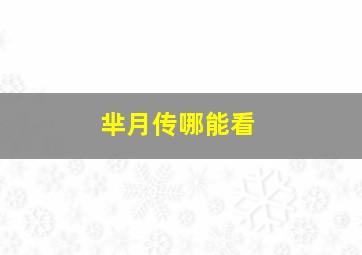 芈月传哪能看