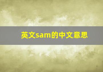 英文sam的中文意思