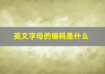 英文字母的编码是什么