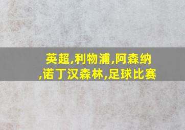 英超,利物浦,阿森纳,诺丁汉森林,足球比赛