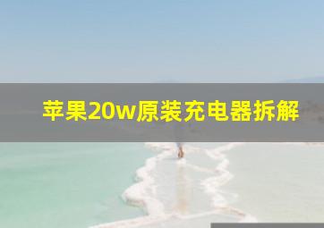 苹果20w原装充电器拆解