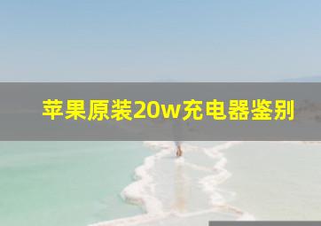 苹果原装20w充电器鉴别