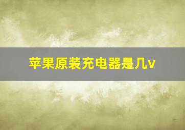 苹果原装充电器是几v