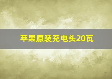 苹果原装充电头20瓦