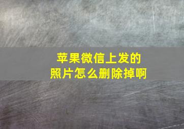 苹果微信上发的照片怎么删除掉啊