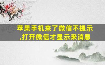 苹果手机来了微信不提示,打开微信才显示来消息