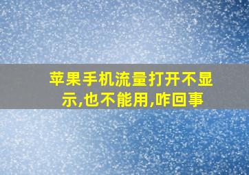 苹果手机流量打开不显示,也不能用,咋回事