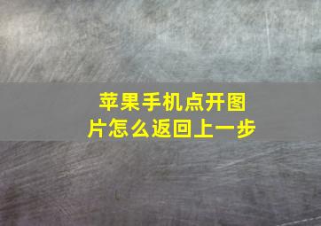 苹果手机点开图片怎么返回上一步