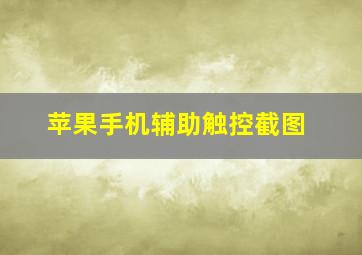 苹果手机辅助触控截图