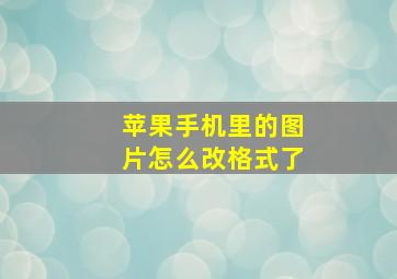 苹果手机里的图片怎么改格式了