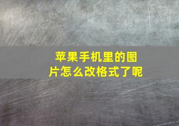 苹果手机里的图片怎么改格式了呢