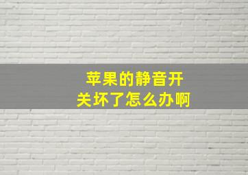 苹果的静音开关坏了怎么办啊