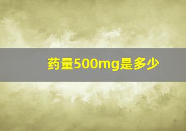 药量500mg是多少