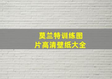 莫兰特训练图片高清壁纸大全