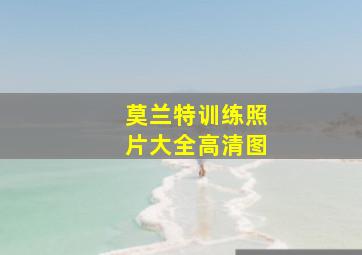 莫兰特训练照片大全高清图