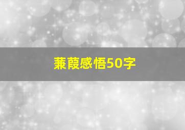 蒹葭感悟50字