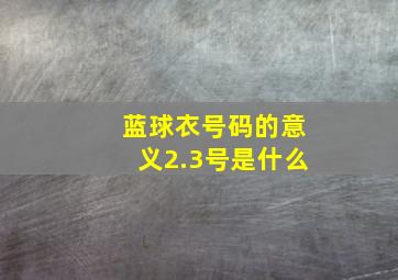 蓝球衣号码的意义2.3号是什么