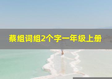 蔡组词组2个字一年级上册