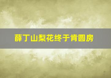 薛丁山梨花终于肯圆房