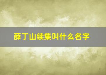 薛丁山续集叫什么名字