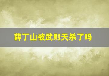 薛丁山被武则天杀了吗