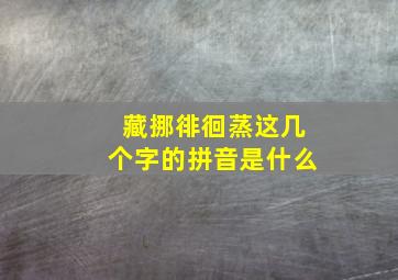 藏挪徘徊蒸这几个字的拼音是什么