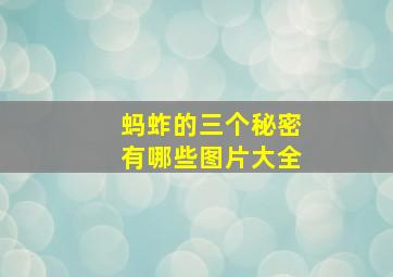 蚂蚱的三个秘密有哪些图片大全