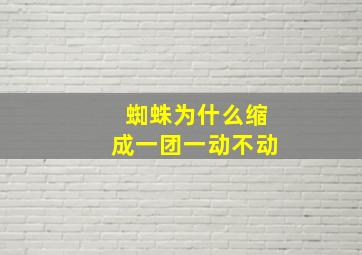 蜘蛛为什么缩成一团一动不动