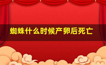 蜘蛛什么时候产卵后死亡