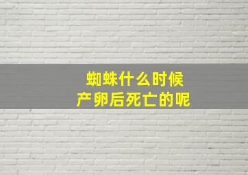 蜘蛛什么时候产卵后死亡的呢