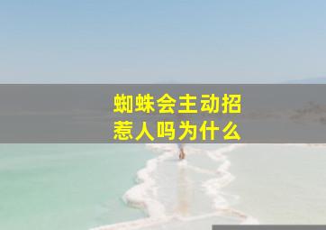 蜘蛛会主动招惹人吗为什么