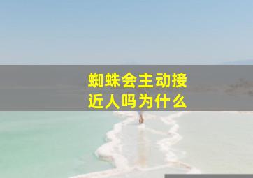 蜘蛛会主动接近人吗为什么