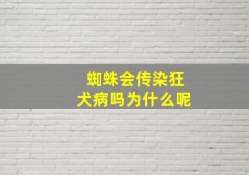 蜘蛛会传染狂犬病吗为什么呢