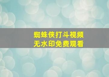 蜘蛛侠打斗视频无水印免费观看