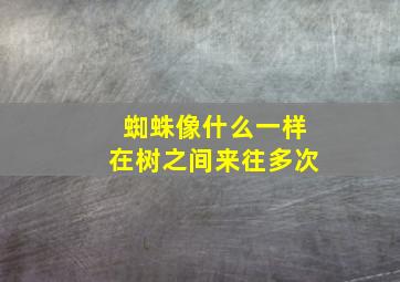 蜘蛛像什么一样在树之间来往多次