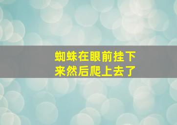 蜘蛛在眼前挂下来然后爬上去了