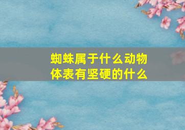 蜘蛛属于什么动物体表有坚硬的什么