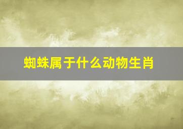 蜘蛛属于什么动物生肖