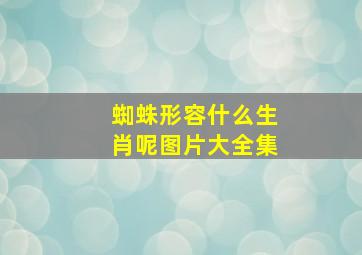 蜘蛛形容什么生肖呢图片大全集