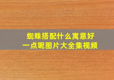 蜘蛛搭配什么寓意好一点呢图片大全集视频