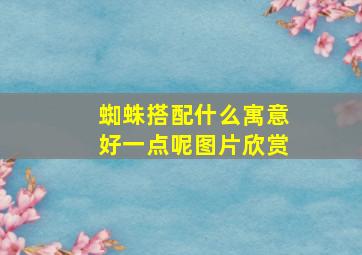 蜘蛛搭配什么寓意好一点呢图片欣赏