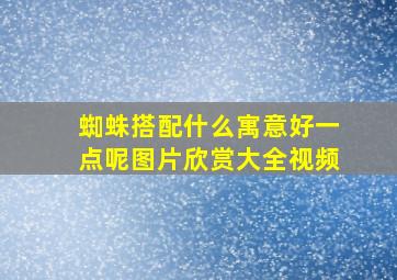 蜘蛛搭配什么寓意好一点呢图片欣赏大全视频