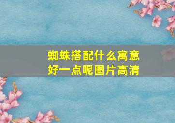 蜘蛛搭配什么寓意好一点呢图片高清