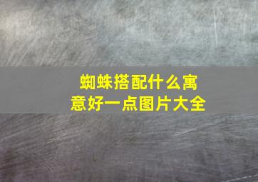 蜘蛛搭配什么寓意好一点图片大全