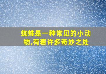 蜘蛛是一种常见的小动物,有着许多奇妙之处