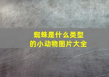 蜘蛛是什么类型的小动物图片大全