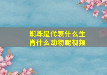 蜘蛛是代表什么生肖什么动物呢视频